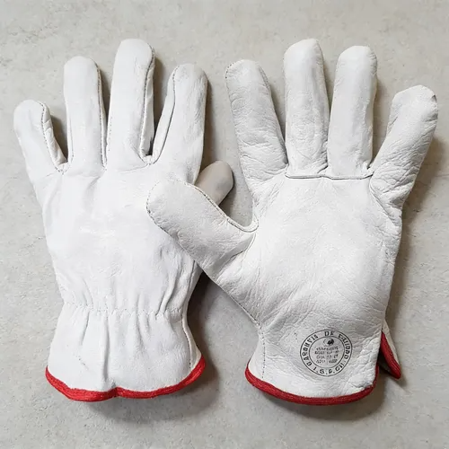 Guante Cabritilla Natural Sin Forro Eurogloves (Pack de 10 Pares)