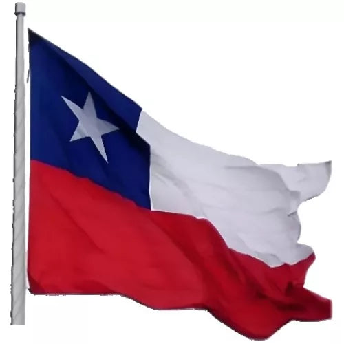 Bandera Chilena 100 x 150
