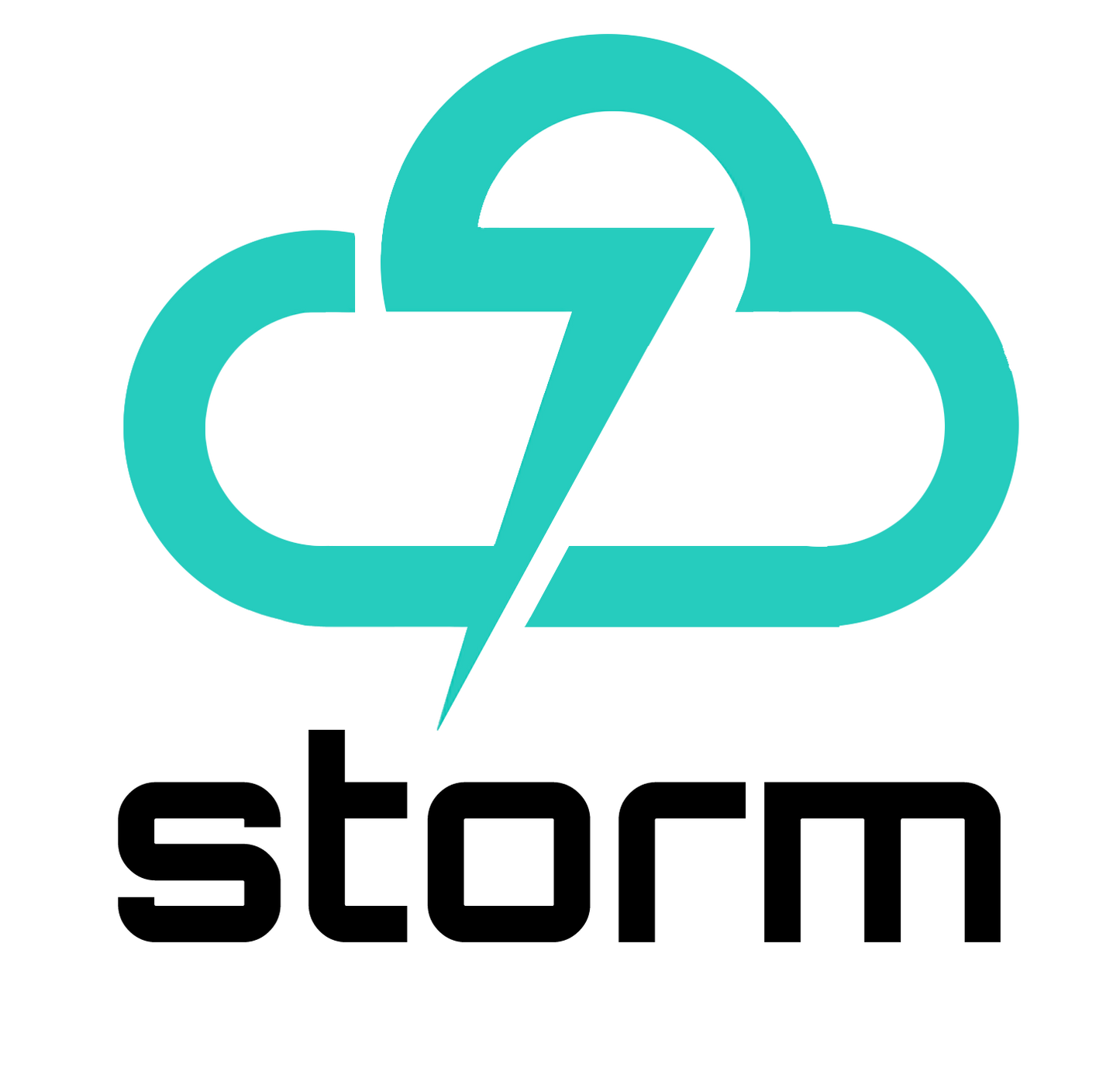 Botín de Seguridad Storm PU-308