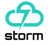 Botín de Seguridad Storm PU-308